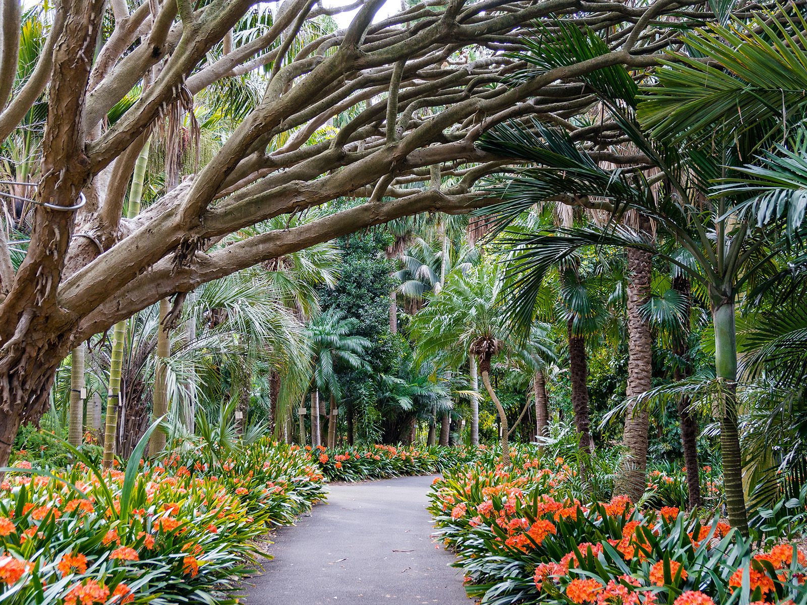 Royal Botanic Garden Sydney